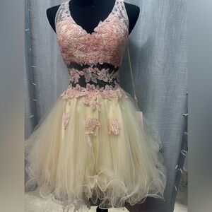 Nude lace coral tutu homecoming dress